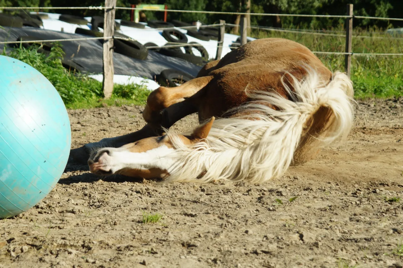 Hauptbild der Veranstaltung "Jetzt mal Tacheles" Sonja Gründemann