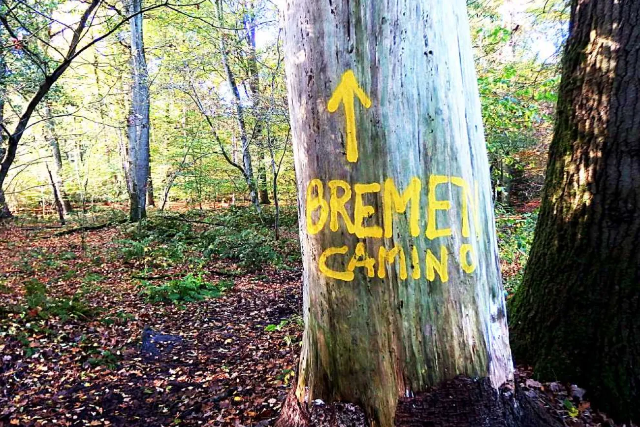 Hauptbild der Veranstaltung Reisebericht von Michael Schildmann: Hamburg -  Bremen