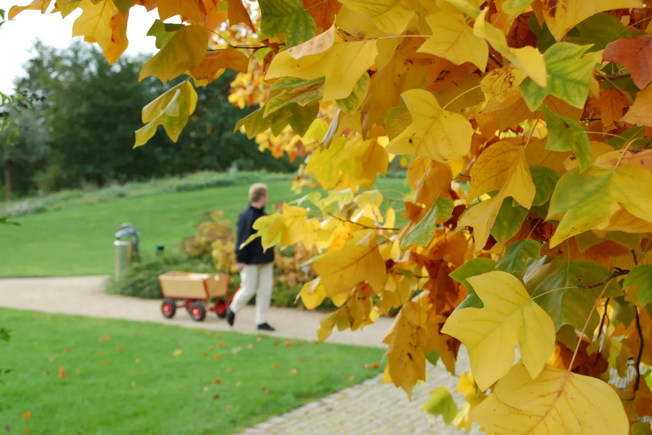 Hauptbild der Veranstaltung Sonderöffnung: Herbstimpressionen im Park