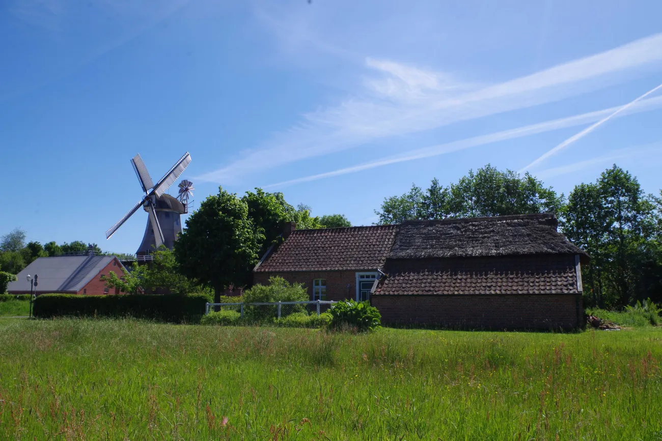 Hauptbild der Veranstaltung Eierfärben mit Zwiebelschalen