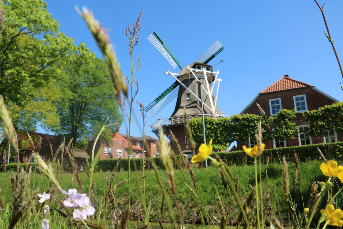 Hauptbild der Veranstaltung Deutscher Mühlentag - Mühle Hahnentange