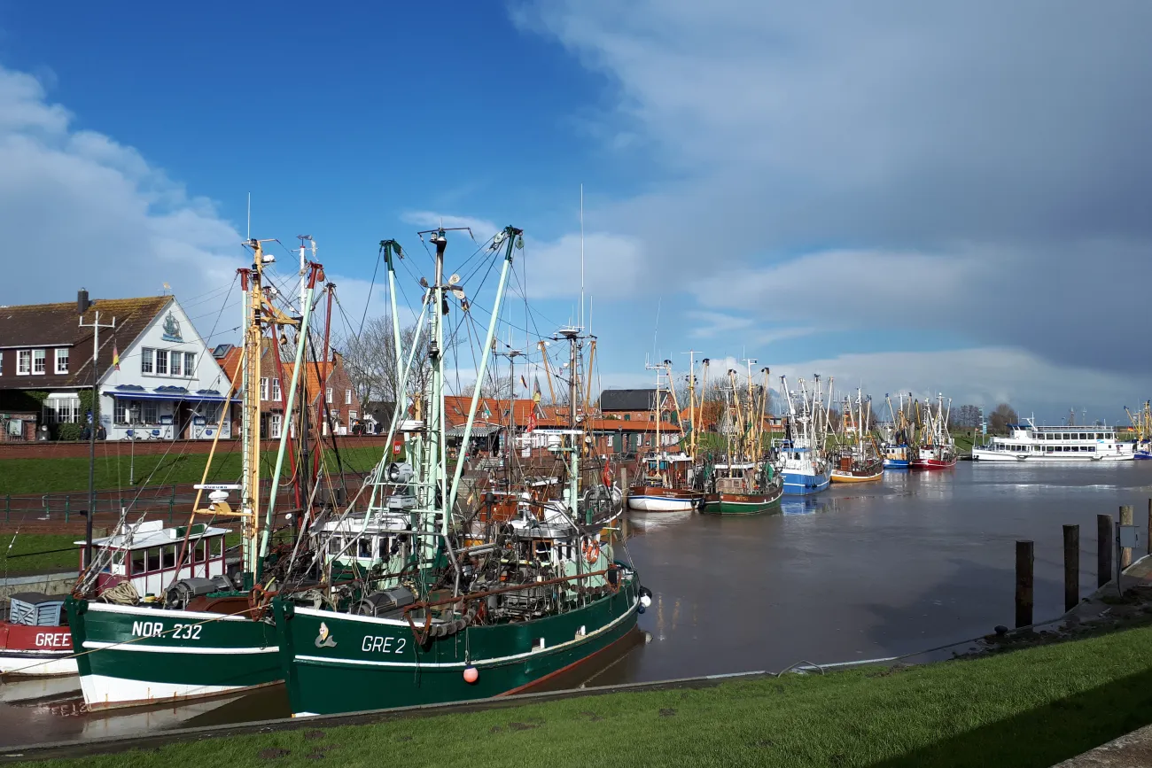 Fischerboote mit bunten Masten liegen im Hafen von Greetsiel vor roten Backsteinhäusern am Wasser.