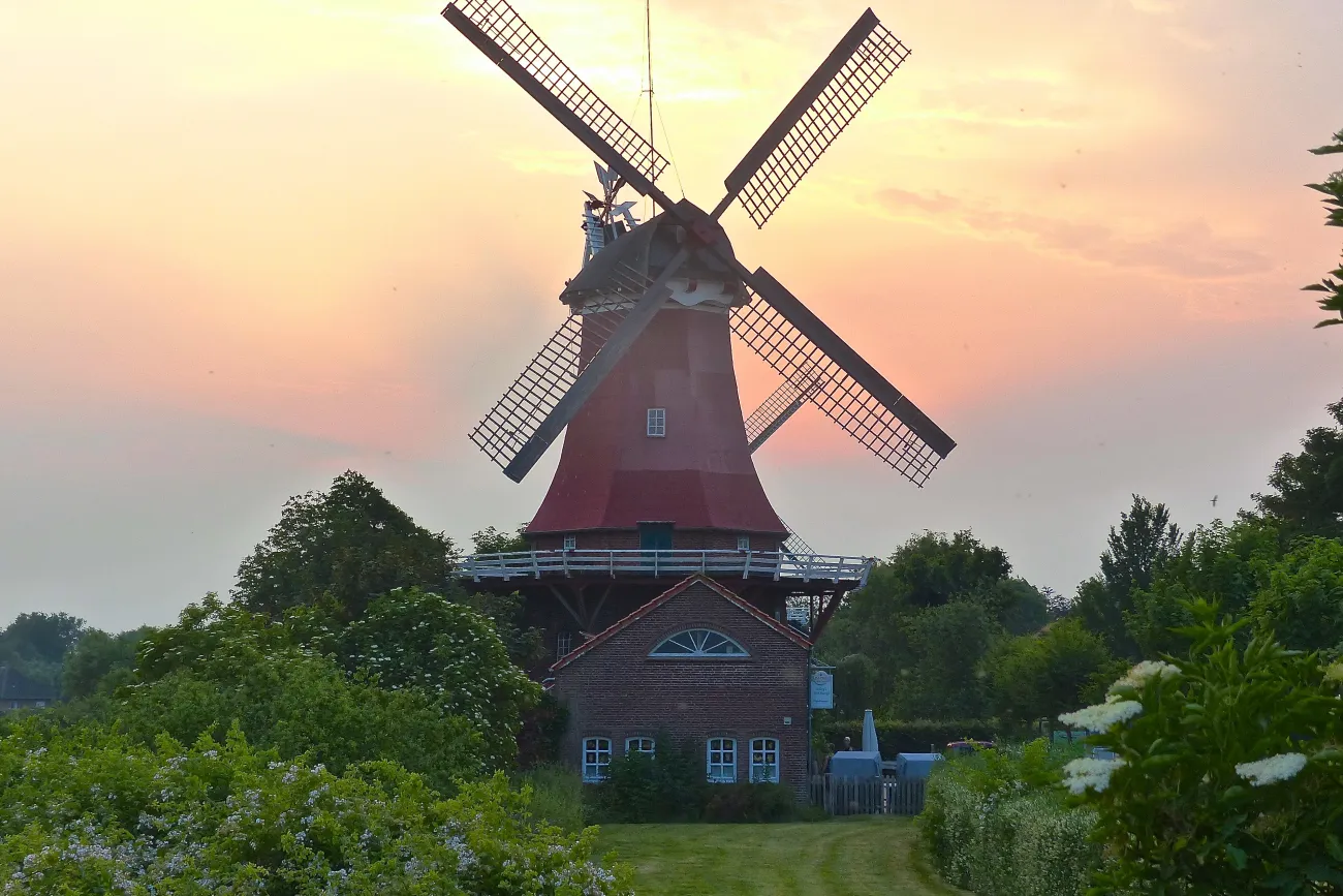 Greetsieler Zwillingsmühle im Abendrot, umgeben von grünen Büschen und einer Wiese.