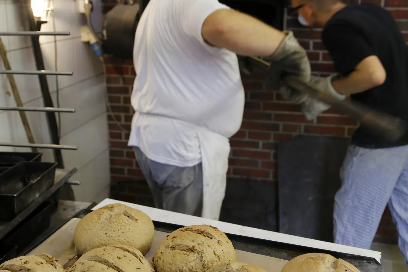 Symbol Backtag, im Vordergrund liegen mehrere runde gebackene Brotlaibe, im Hintergrund steht ein älterer Mann mit einer weissen Backschürtze. Dieser hat einen langen Brotschieber aus Holz in der Hand. Vor ihm steht ein weiterer Mann. Beide stehen vor einem Steinbackofen.