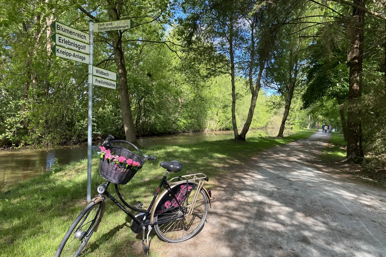 Fahrrad mit Blumenkorb lehnt an einem Verkehrsschild, grüne Baumallee führt entlang eines Radwegs.