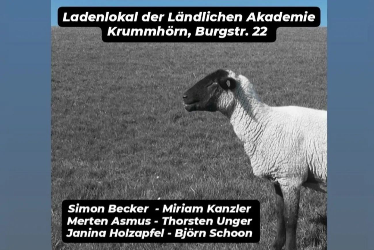 Plakat der 1. Krummhörner Kunsttage mit Terminen und Schaf auf einer Wiese.