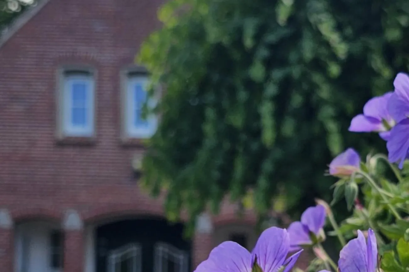 Hauptbild der Veranstaltung Tag des Friedhofs der St. Nicolaikirchengemeinde Wittmund