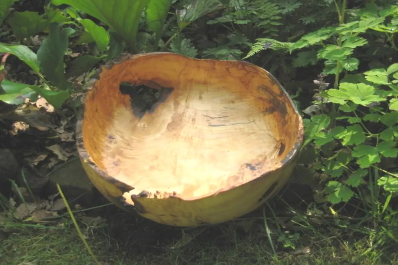 Holzschale mit Naturrand