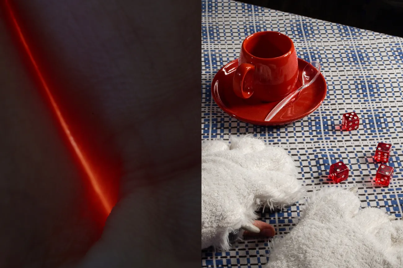 Jonas Brinker – Ever, Since / Kira Wieckenberg – HUNDSTAGE