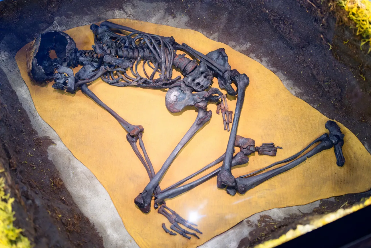 Soll noch einmal auf Reisen gehen: der Mann von Bernuthsfeld