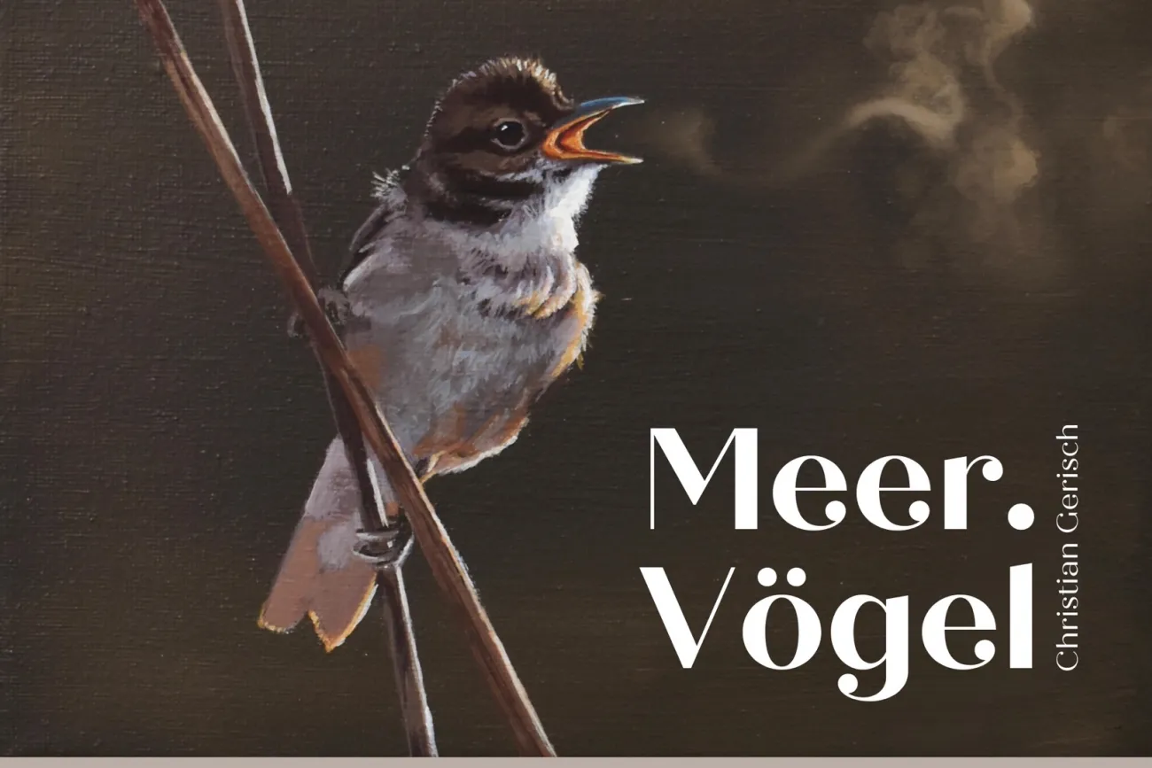 Ausstellung Meer.Vögel