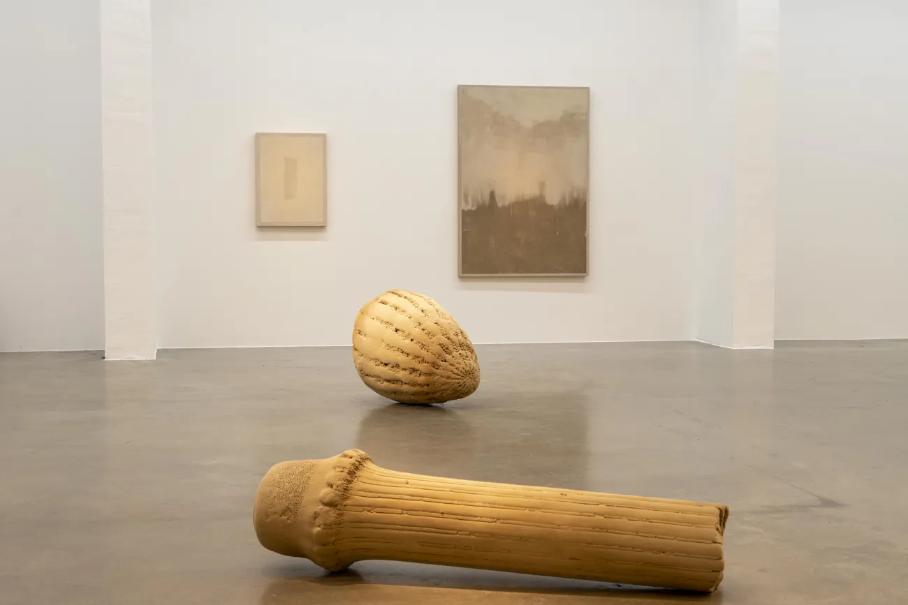 Jeewi Lee und Phillip C. Reiner, Fragment Proximity, Field of Fragments, 2025. Foto: Christopher Häring