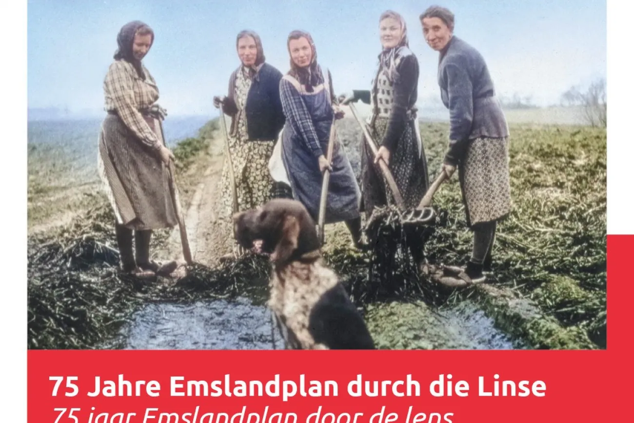 Zusehen sind eine Gruppe von Frauen, die bei der Kartoffelernte sind.