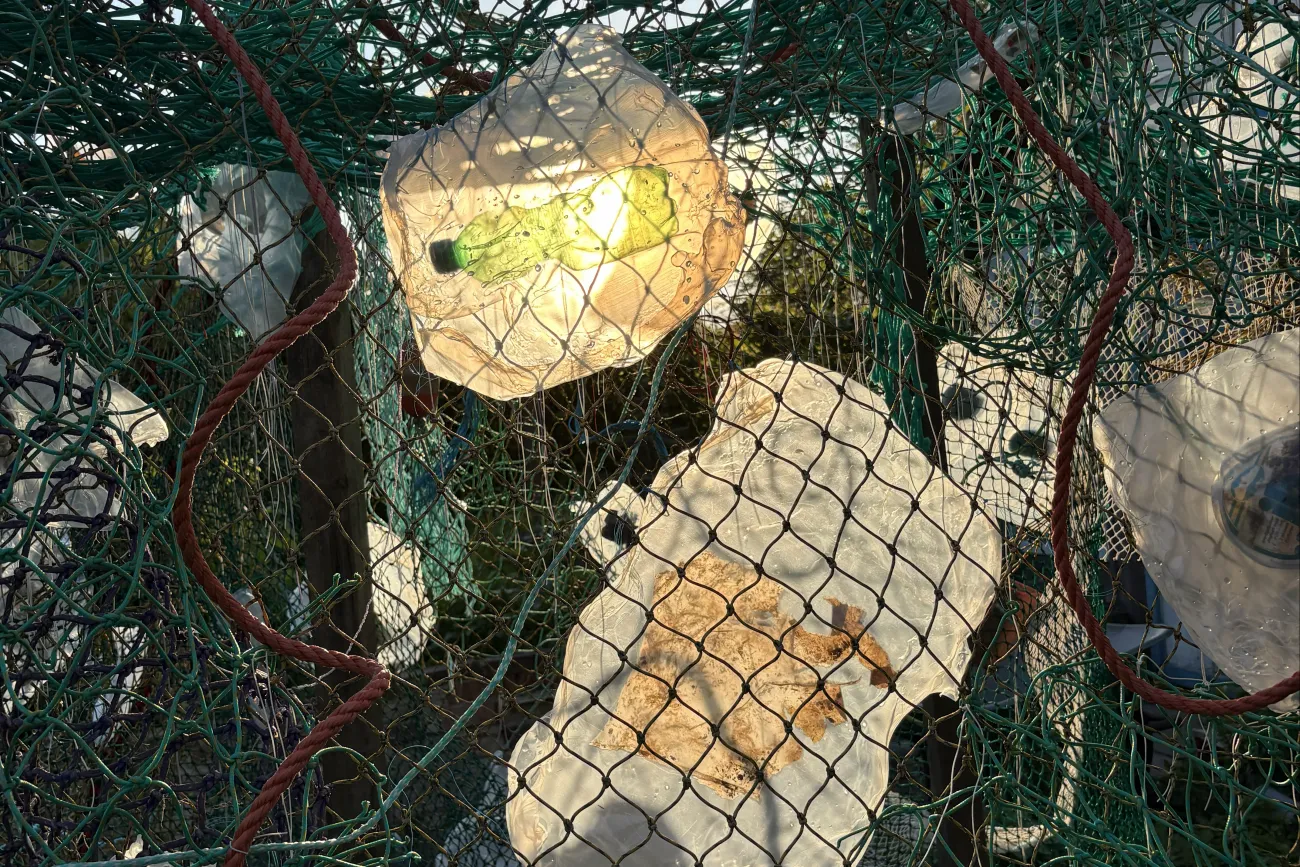Detailaufnahme "Im Spülsaum"
