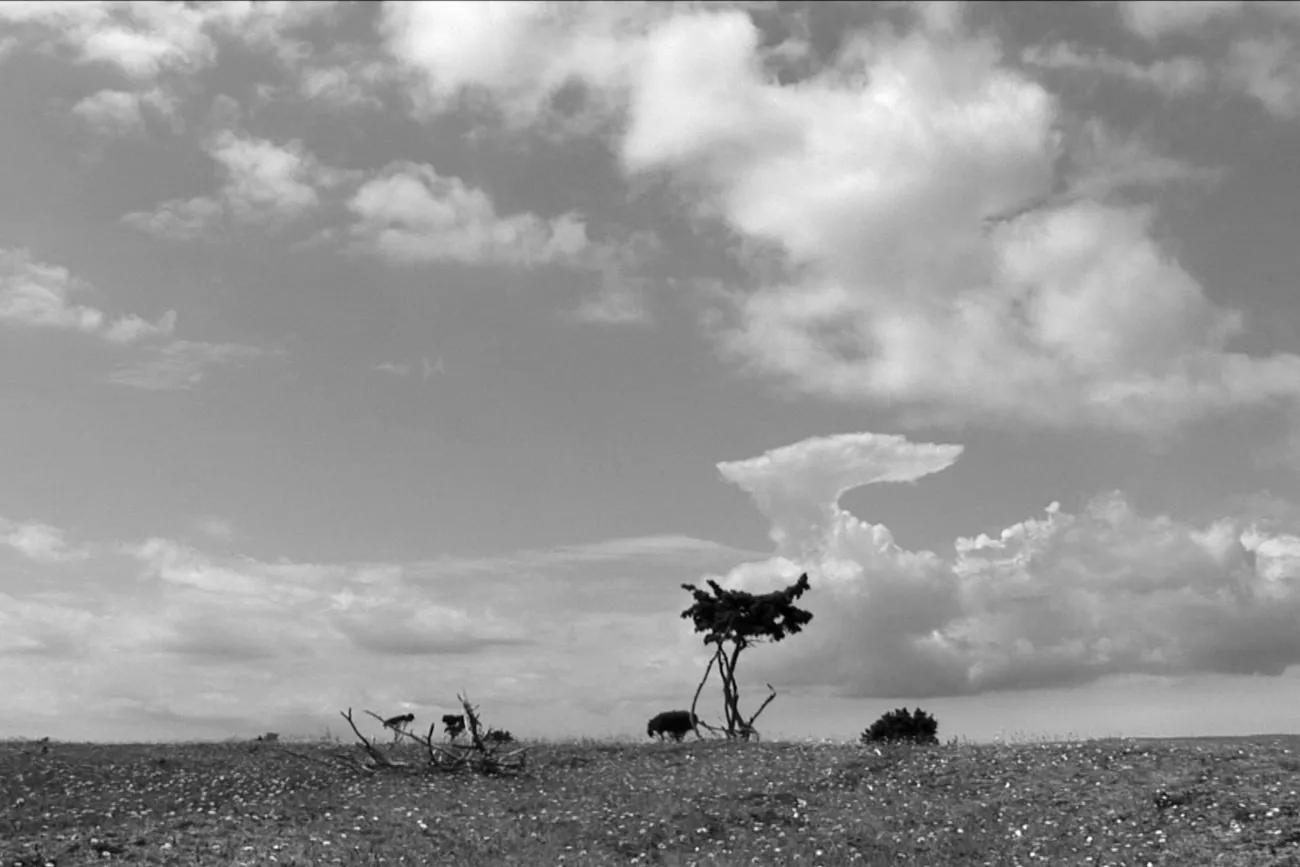 Fiona Tan, Island, 2008. HD Videoinstallation, schwarz-weiß, 5:1 surround sound. Courtesy the artist and Frith Street Gallery, London