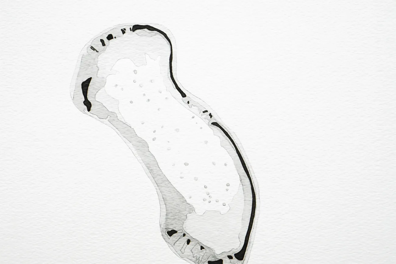 Marie Velardi, îles perdues (Lost Islands), 2014. 33 Zeichnungen, Tinte, Aquarell und Bleistift auf Papier. Courtesy the artist