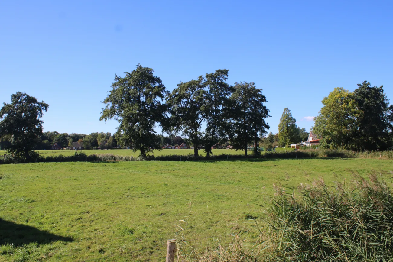 Blick von Marienhafe aus auf das umliegende Grünland