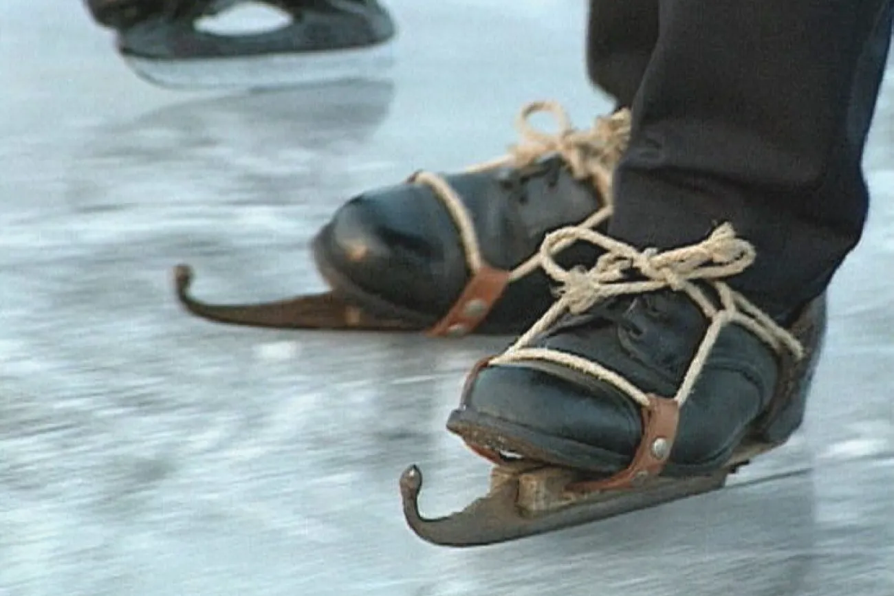 Schoefel