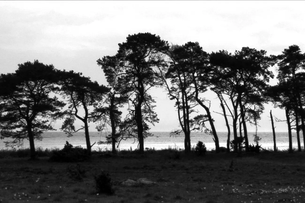 Fiona Tan, Island, 2008. HD Videoinstallation, schwarz-weiß, 5:1 surround sound, Courtesy the artist and Frith Street Gallery, London