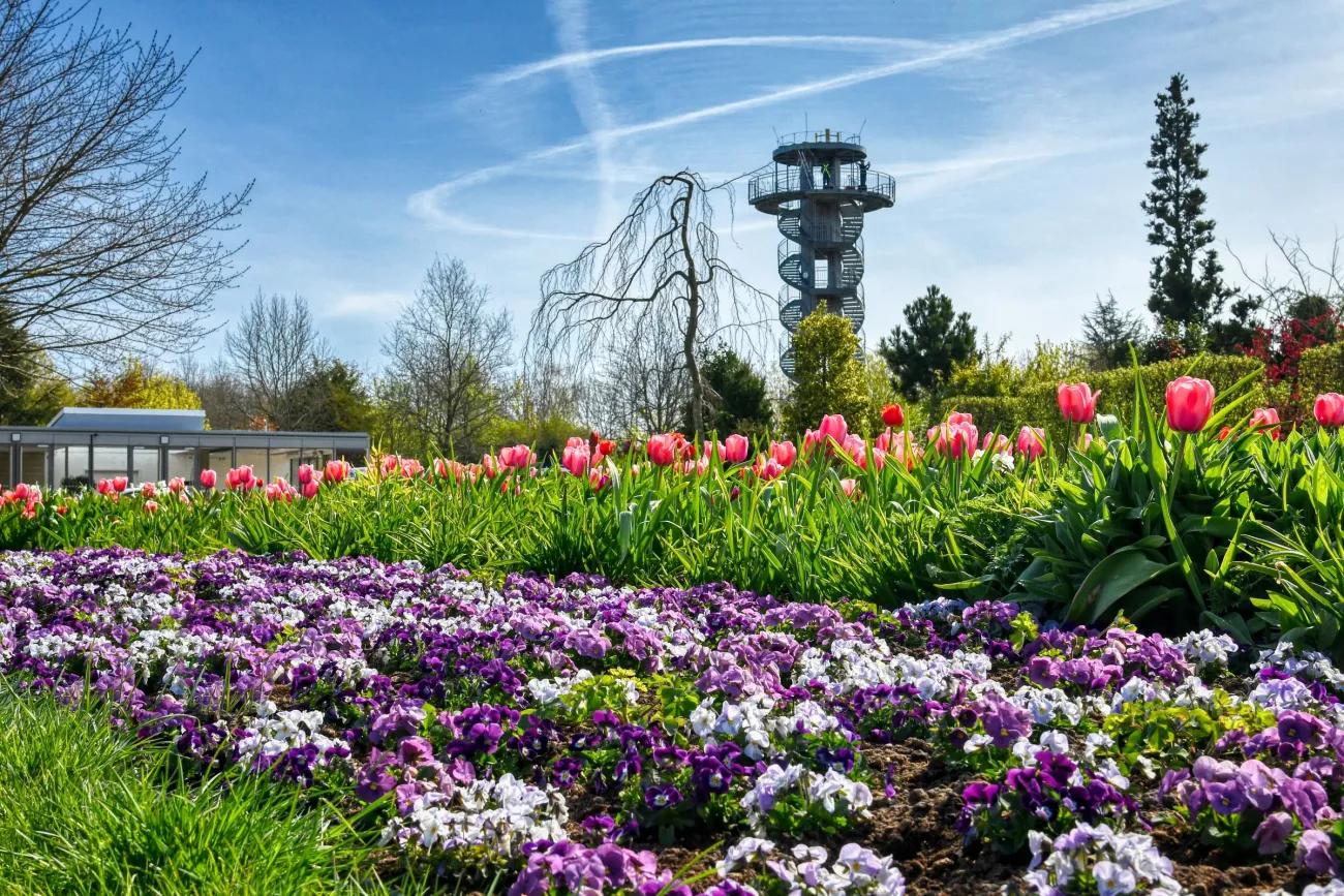 Blumenbeete und Aussichtsturm im Park