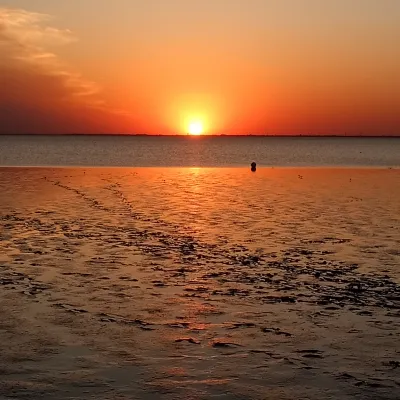 Sonnenuntergang über dem Jadebuse