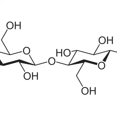 Darstellung eines Polymers
