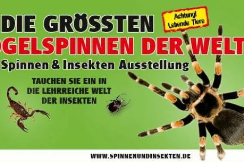 Hauptbild der Veranstaltung Das große Krabbeln kommt nach Aurich