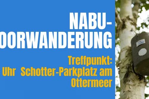 Hauptbild der Veranstaltung NABU-Moorwanderung