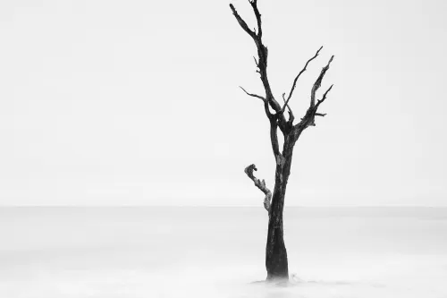 Hauptbild der Veranstaltung Glanzlichter der Naturfotografie 2023