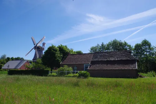 Hauptbild der Veranstaltung Eierfärben mit Zwiebelschalen