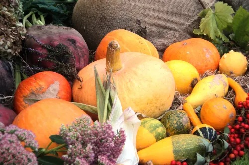 Hauptbild der Veranstaltung Erntedankfest Klostermoor 