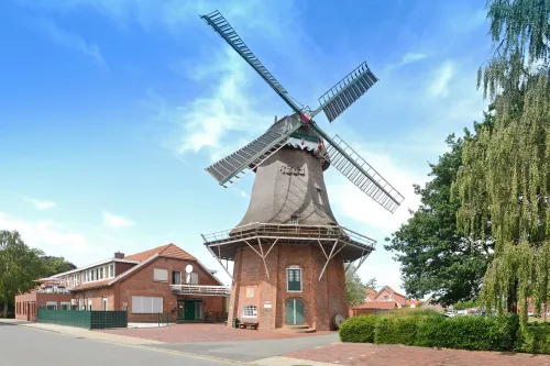 Hauptbild der Veranstaltung Deutscher Mühlentag  - Mühle Remels