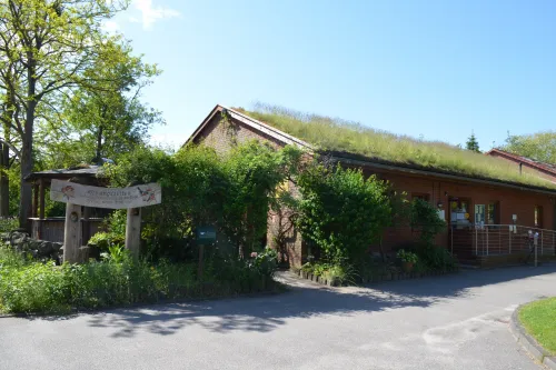 Hauptgebäude des Ökowerks mit Café. Ein begrüntes Dach, möglicherweise mit Gras oder ähnlichem bewachsen. Rundherum viel Grün: Bäume, Sträucher und Pflanzen schaffen eine naturnahe Umgebung