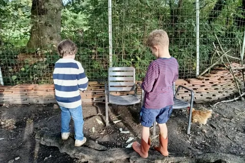 Zwei Kinder erkunden am Zaun ein Hofgelände mit Stühlen, Holz und Huhn.