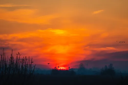 Sonnenaufgang in den Hauener Pütten im Landschaftsschutzgebiet Krummhörn