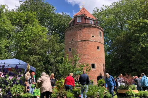 Bild der Marktlandschaft mit Burgturm im Hintergrund
