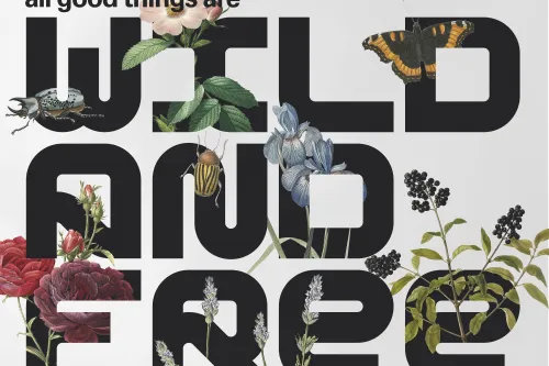 All good things are wild and free. Wander, pilgern, Spuren finden