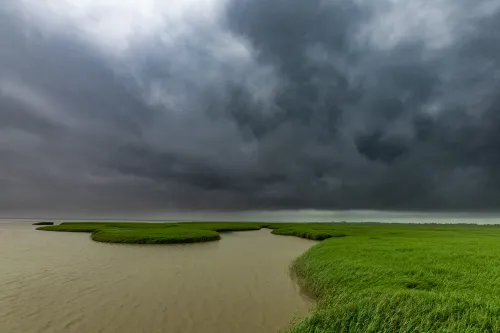 Wattenmeer