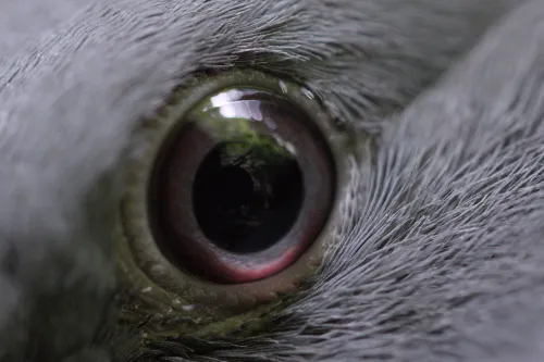 Jonas Brinker, video still, 2025