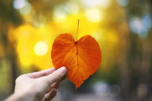 Hand hält rotes Herbstblatt