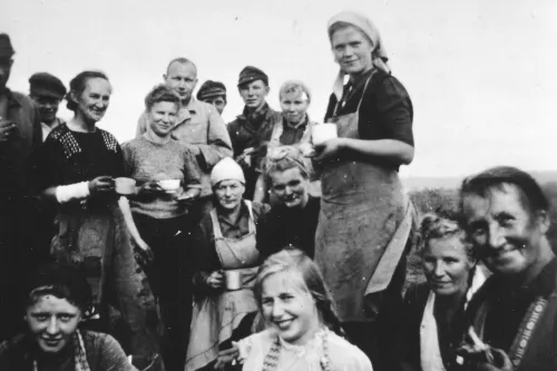 Erntehelferinnen, Norden 1948