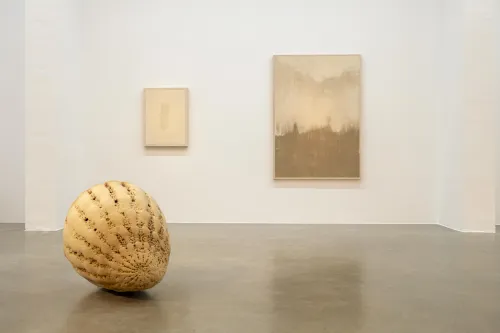 Jeewi Lee und Phillip C. Reiner, Fragment Proximity, Field of Fragments, 2025. Foto: Christopher Häring