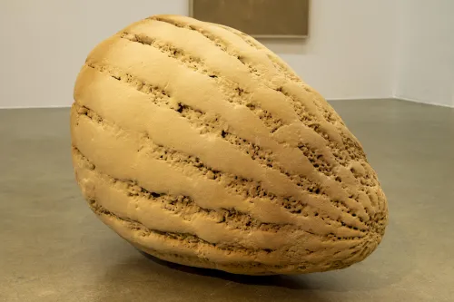 Jeewi Lee und Phillip C. Reiner, Fragment Proximity, 2025. Foto: Christopher Häring