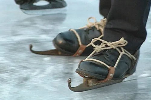 Schoefel