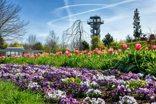 Blumenbeete und Aussichtsturm im Park
