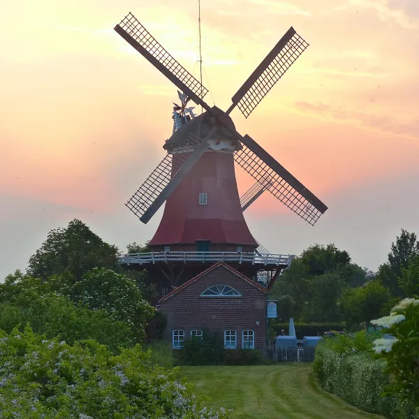 Hauptbild der Veranstaltung Kultur auf dem Kornspeicher in Greetsiel: Lesung mit Lothar Englert