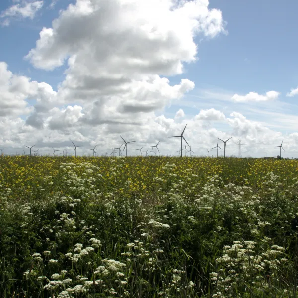 Regeneratives Ostfriesland