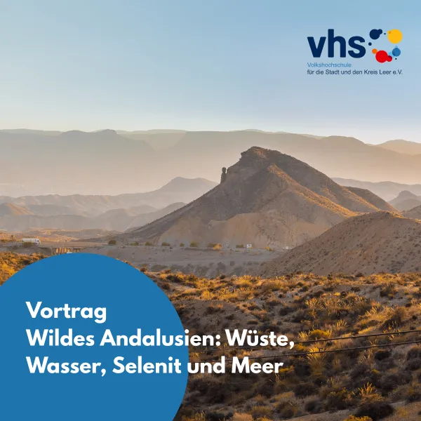 Weite, trockene Wüstenlandschaft mit Hügeln und spärlicher Vegetation in Andalusien bei Sonnenuntergang, im Hintergrund Bergsilhouetten im Dunst.