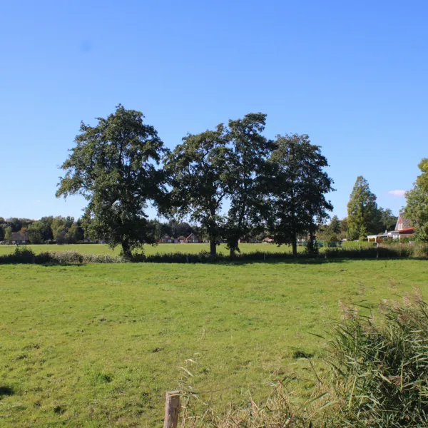 Blick von Marienhafe aus auf das umliegende Grünland