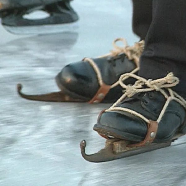Schoefel